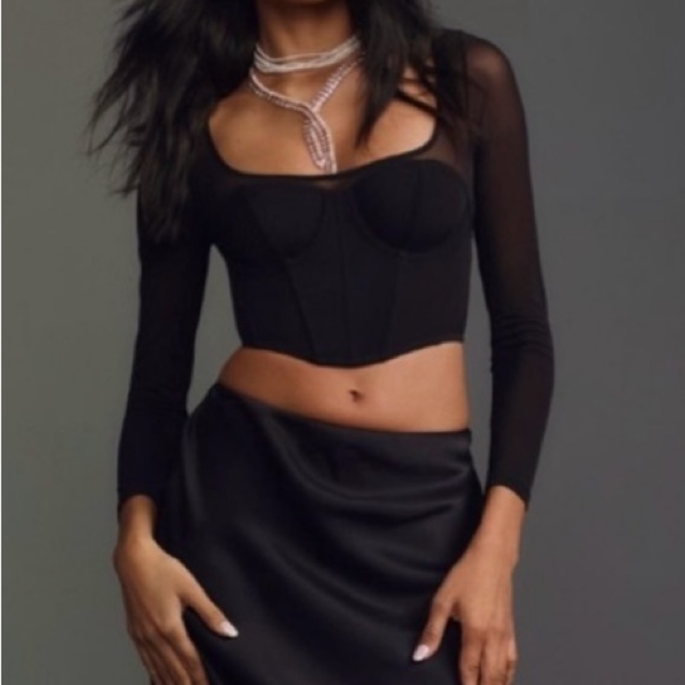🟤NWT ANTHROPOLOGIE Long-Sleeve Mesh Crop Top in Black